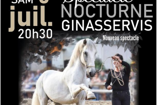 Spectacle Dressage équestre