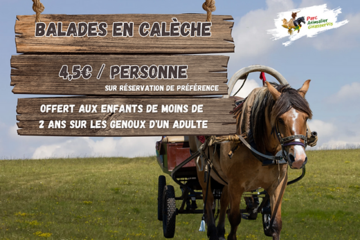 Balades en calèche