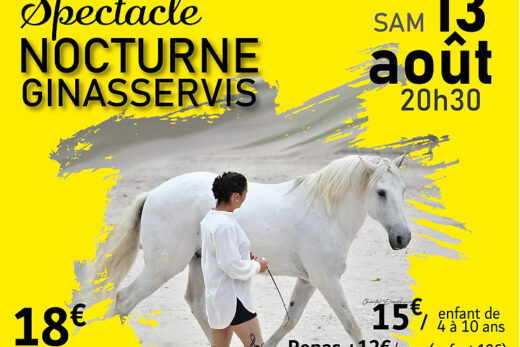 Spectacle nocturne 13 août