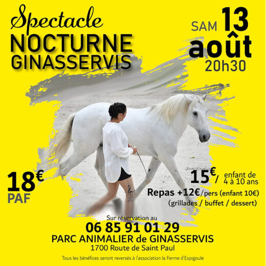 Spectacle&#x20;nocturne&#x20;13&#x20;ao&#x00FB;t