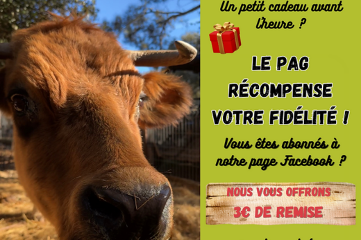 Notre cadeau de Noël pour nos abonnés   :   Votre fidélité et votre soutien sont récompensés.
