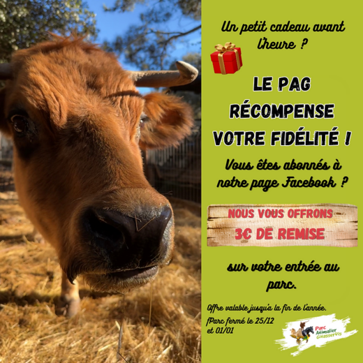 Notre&#x20;cadeau&#x20;de&#x20;No&#x00EB;l&#x20;pour&#x20;nos&#x20;abonn&#x00E9;s&#x20;&#x20;&#x20;&#x3A;&#x20;&#x20;&#x20;Votre&#x20;fid&#x00E9;lit&#x00E9;&#x20;et&#x20;votre&#x20;soutien&#x20;sont&#x20;r&#x00E9;compens&#x00E9;s.