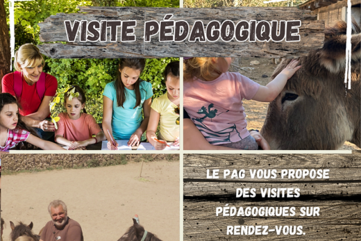 Visites pédagogiques
