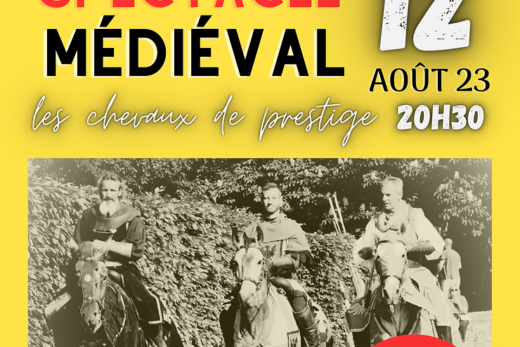 Spectacles Equestres nocturnes au parc &#8211; Les chevaux de prestige