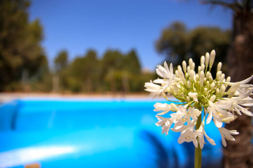 Fermeture&#x20;annuelle&#x20;de&#x20;l&amp;&#x23;8217&#x3B;espace&#x20;aquatique