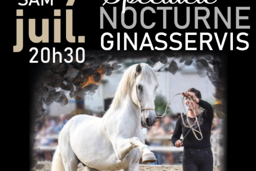 Spectacle nocturne Samedi 9 juillet à 20h30
