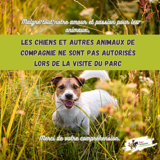 Les&#x20;animaux&#x20;domestiques&#x20;ne&#x20;sont&#x20;pas&#x20;autoris&#x00E9;s&#x20;lors&#x20;de&#x20;la&#x20;visite&#x20;du&#x20;parc