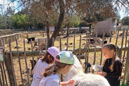 Activité Petits Fermiers dans le Var : une activité nature pour les enfants