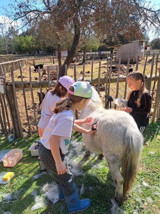Activit&#x00E9;&#x20;Petits&#x20;Fermiers&#x20;dans&#x20;le&#x20;Var&#x20;&#x3A;&#x20;une&#x20;activit&#x00E9;&#x20;nature&#x20;pour&#x20;les&#x20;enfants