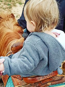 Parc de Ginasservis : rencontre des animaux et activités en plein air