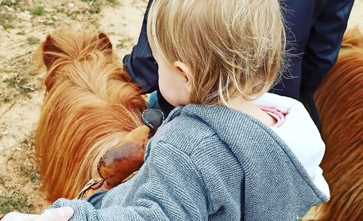 Balades à Poney