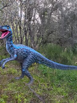 Parc de Ginasservis : rencontre des animaux et activités en plein air