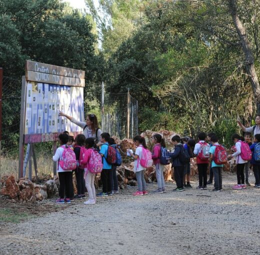 Écoles et centres aérés