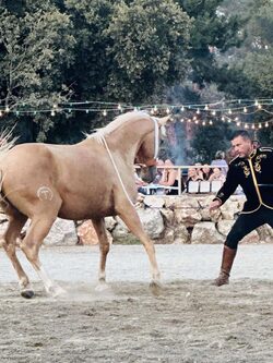 Parc de Ginasservis : rencontre des animaux et activités en plein air