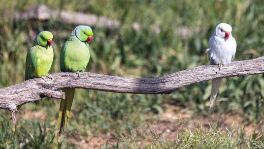 Parc de Ginasservis : rencontre des animaux et activités en plein air